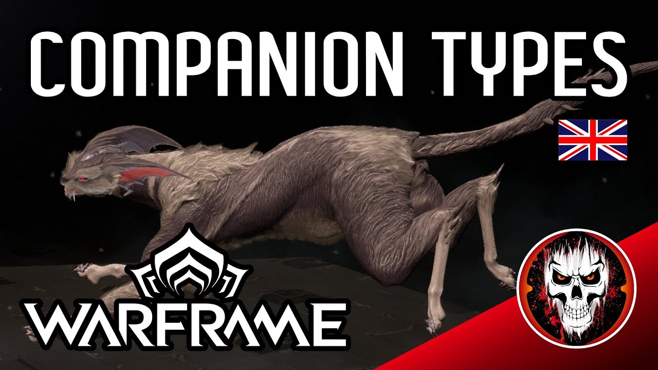 How to get all COMPANIONS! Warframe Guides #tennocreate