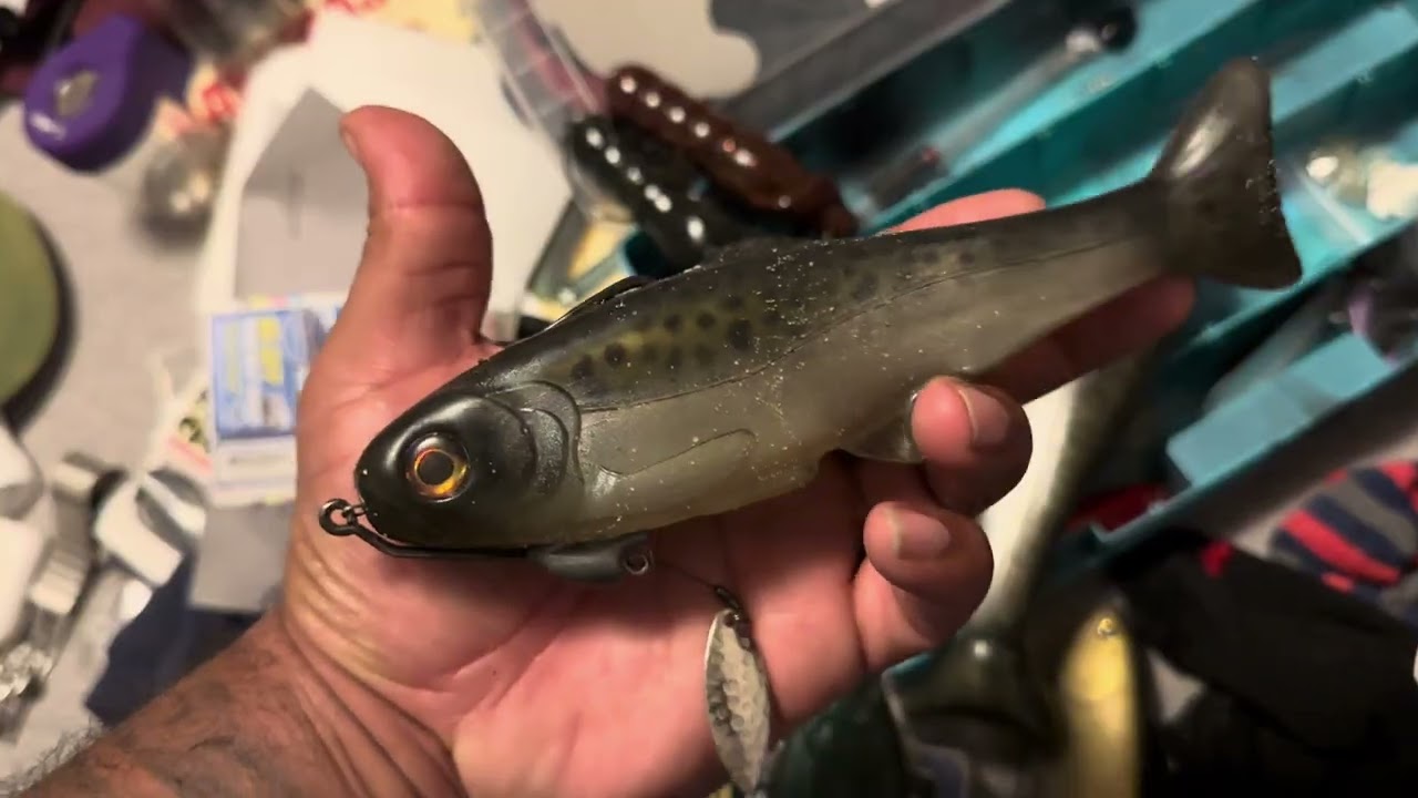 My Exotic Soft Plastic Swimbait Collection!
