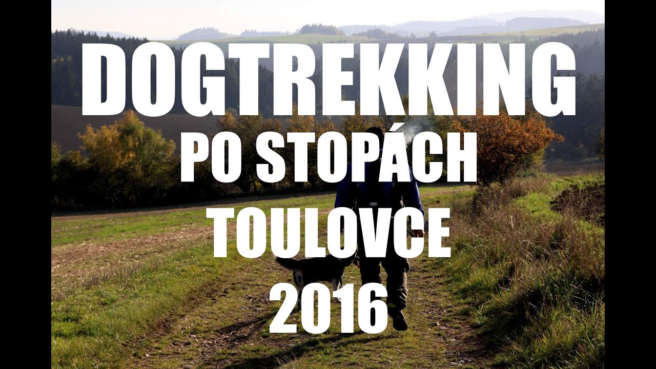 DOGTREKKING Po Stopách Toulovce 2016