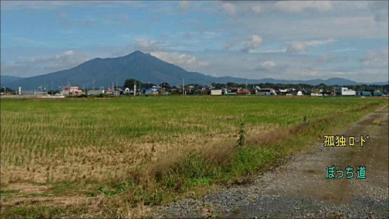 独りぼっちの仲間達  J-WALK (acha)