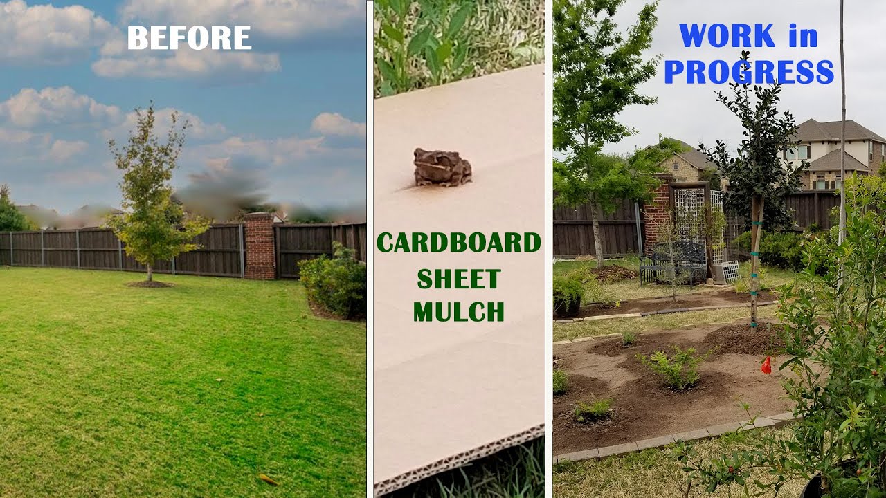 Backyard Transformation - Lush Landscape In Place Of Grass Lawn