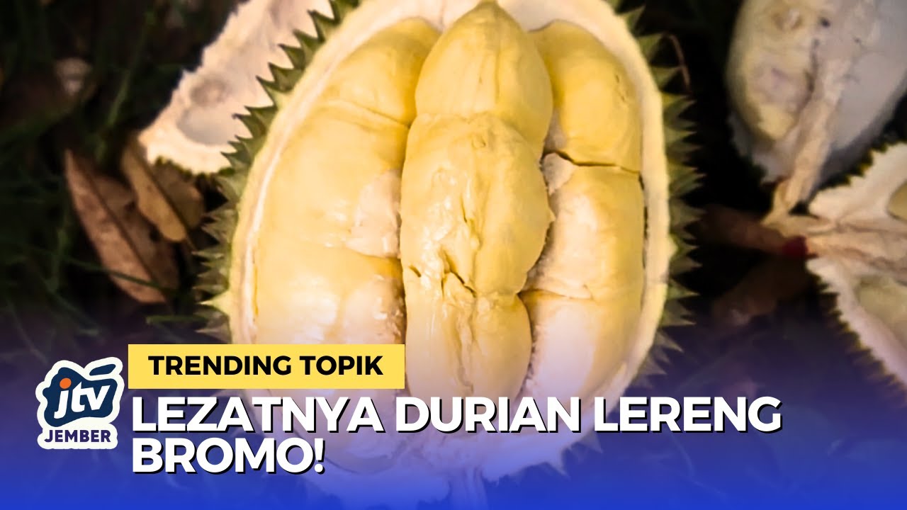 Rahasia Kelezatan Durian Lokal Lumbang yang Mendunia