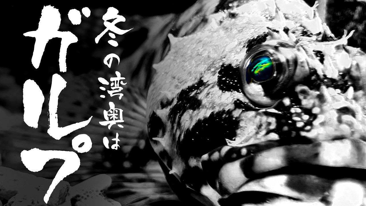 【やはりガルプ】真冬の深夜、東京湾奥でデカいやつに遭遇!!【ライトゲーム】