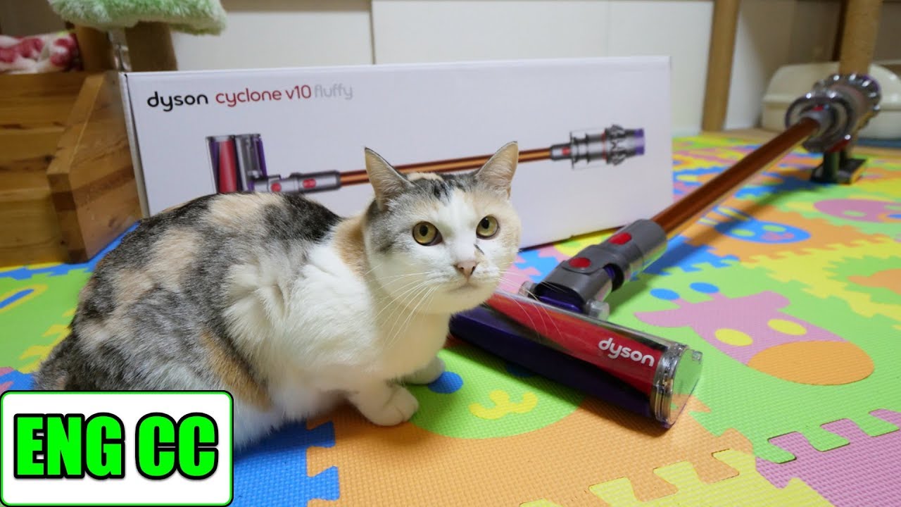 ダイソンV10で猫部屋を掃除したら想像を超える驚愕の結果に‥【Eng CC】