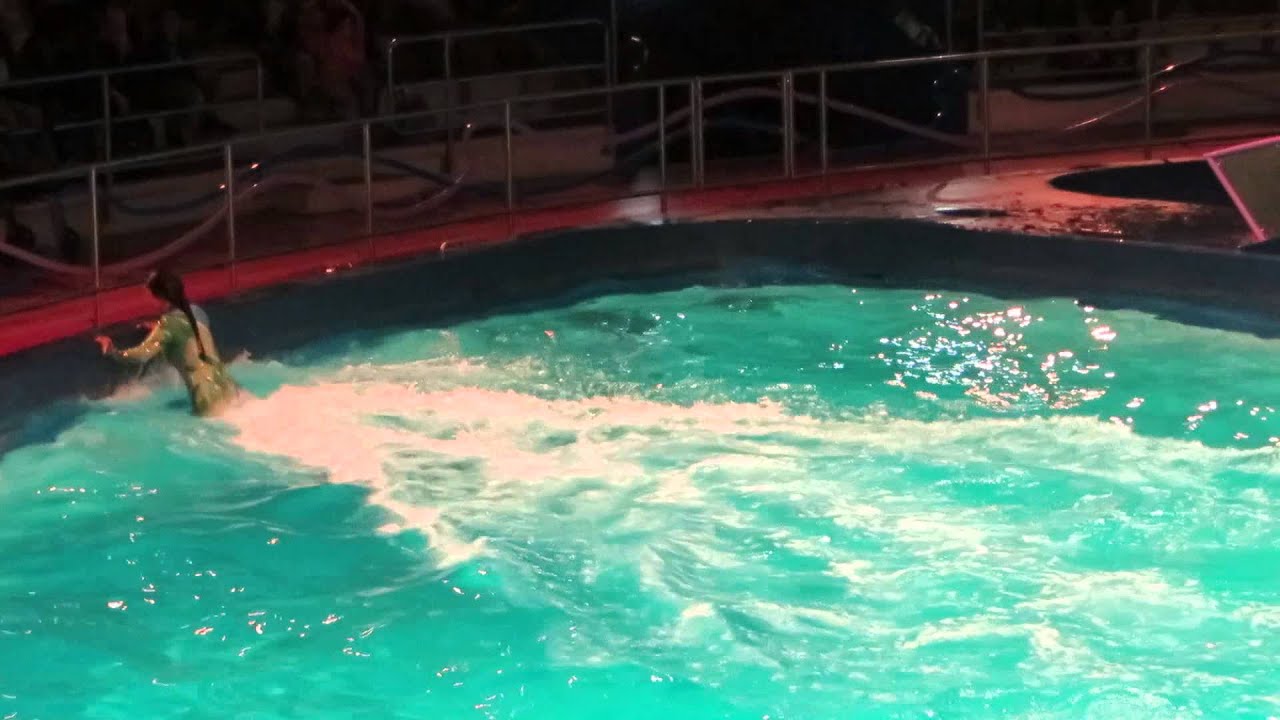 Dolphinarium Harderwijk, The Netherlands - aug. 2014