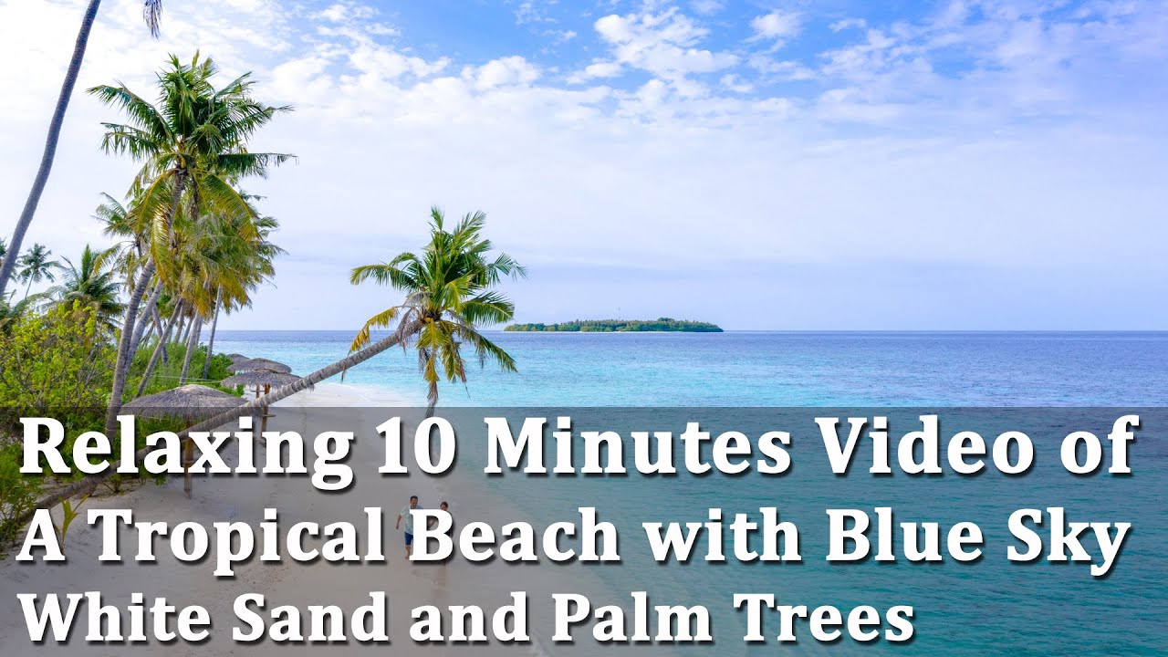 Relaxing 10 Minutes Video of A Tropical Beach with Blue Sky White Sand and Palm Trees