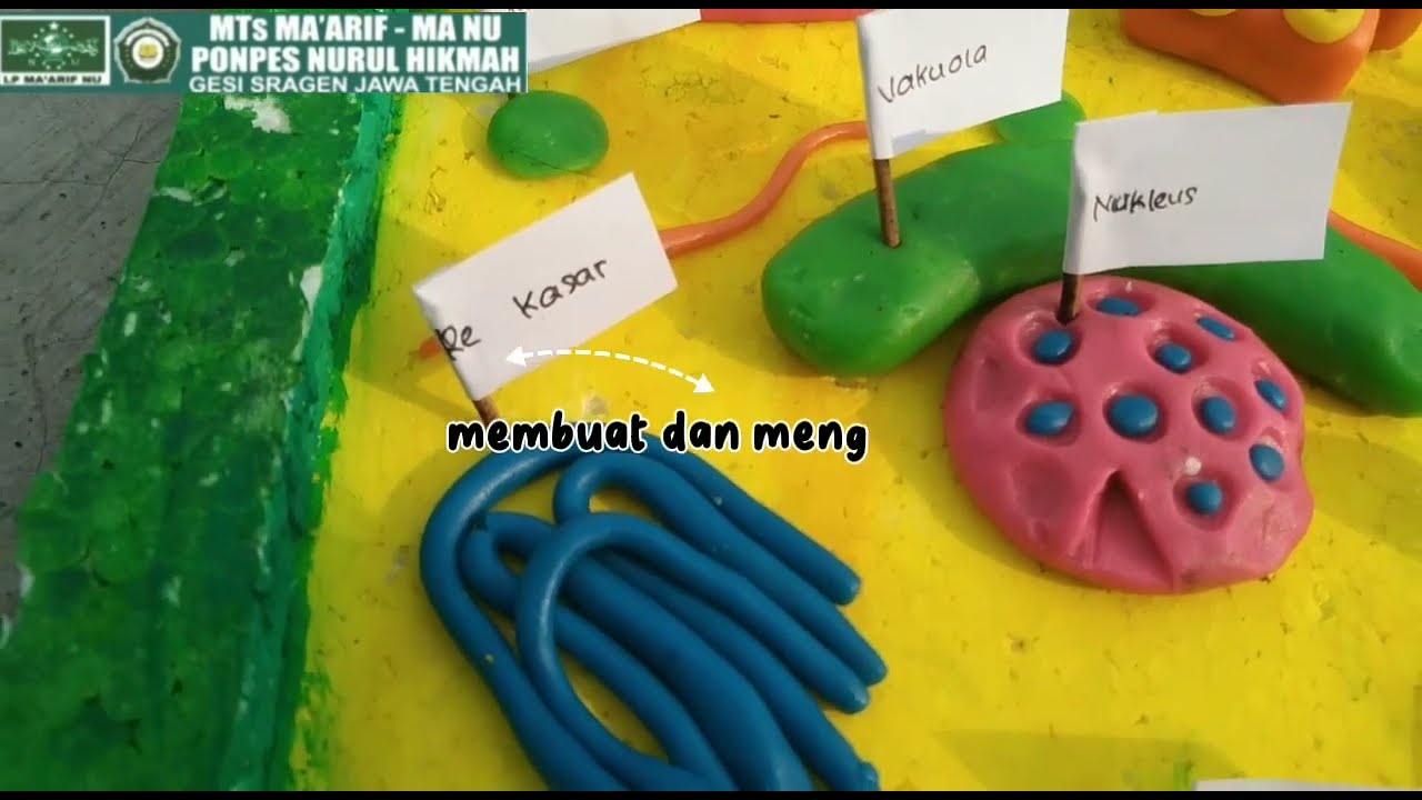 video pembelajaran membuat alat peraga ipa  sel tumbuhan by tri nur hayati dan aulia MTs Maarif Gesi