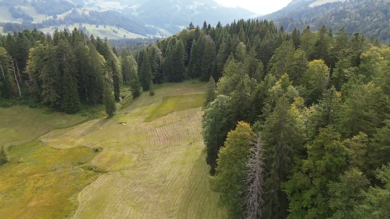 Remember my old DJI Mini in Santis mountain in Switzerland