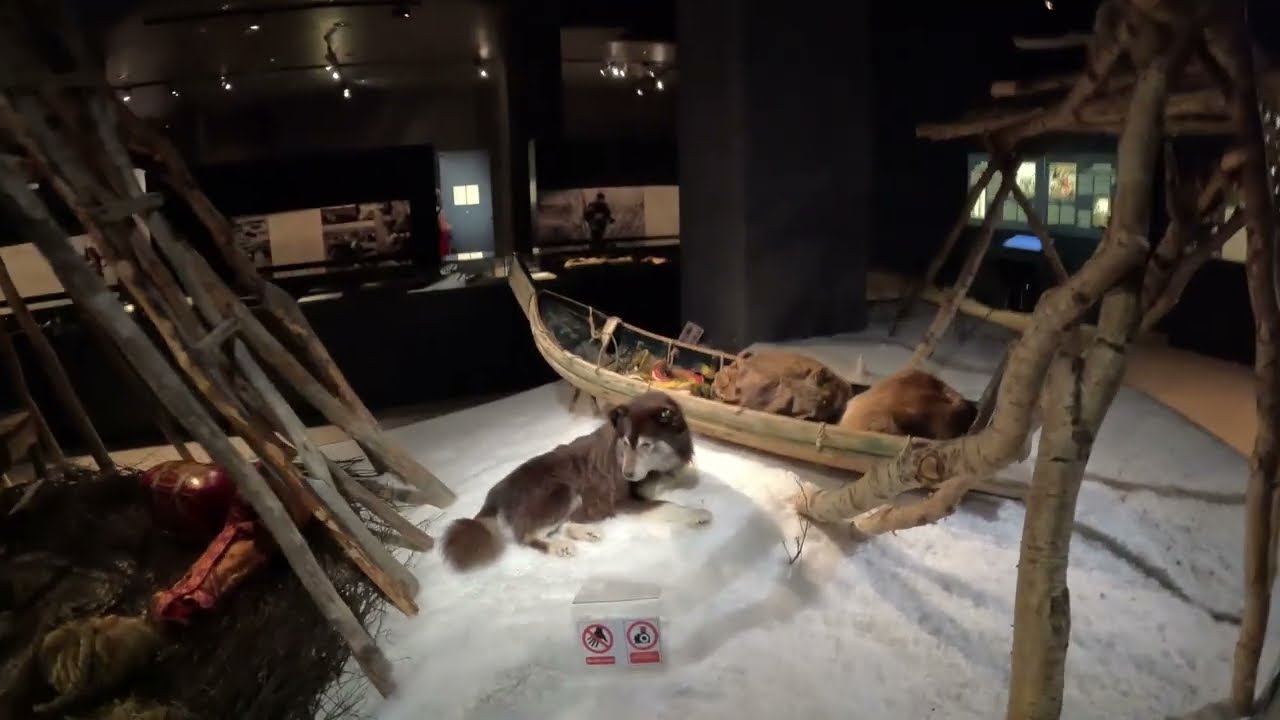 Im Sommer erfrischend: Das Museum Arktikum in Rovaniemi (Nordfinnland)