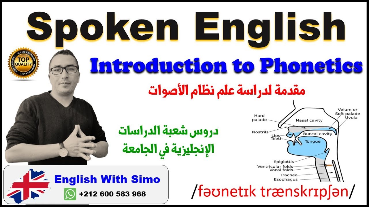 Introduction To Phonetics (Phonetic Transcription) | English With Simo