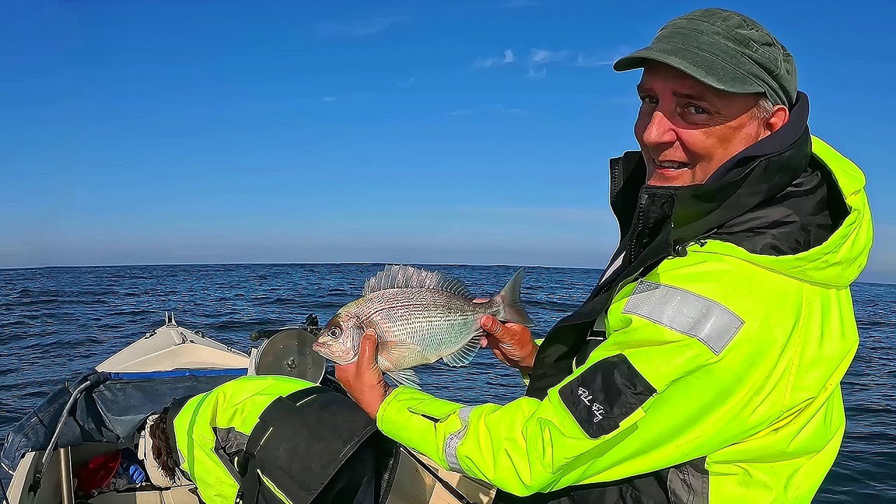 Far Offshore In A Small Boat A Beautiful Day What Fish Can We Catch