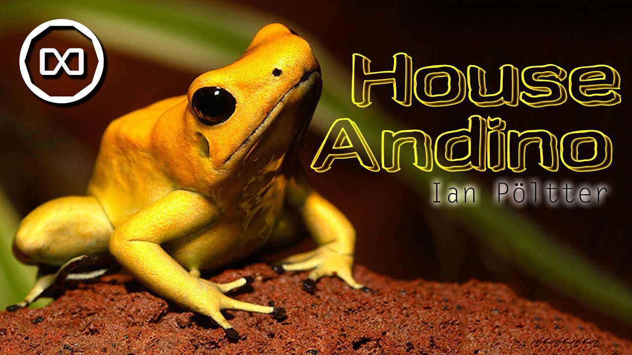 House Andino | Ian Pöltter