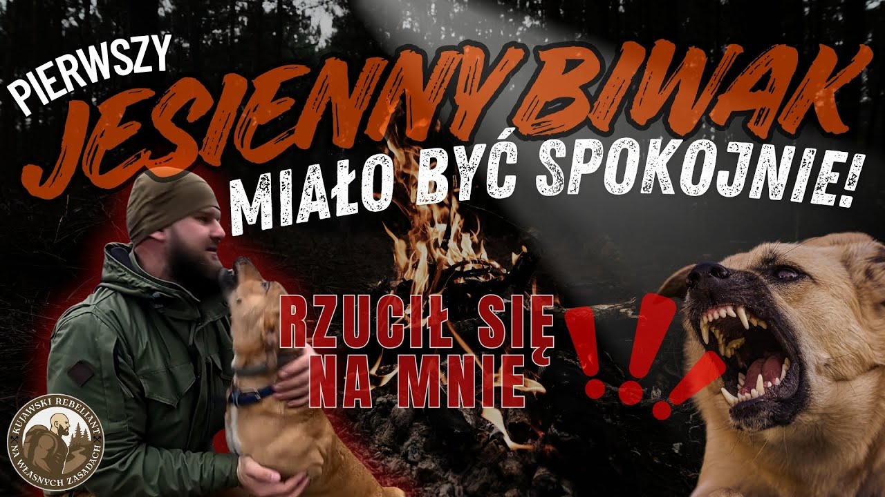 Rzucił się na mnie w lesie! Jesienny biwak w Puszczy Bydgoskiej. Niespodziewany gość + nowy tarp!
