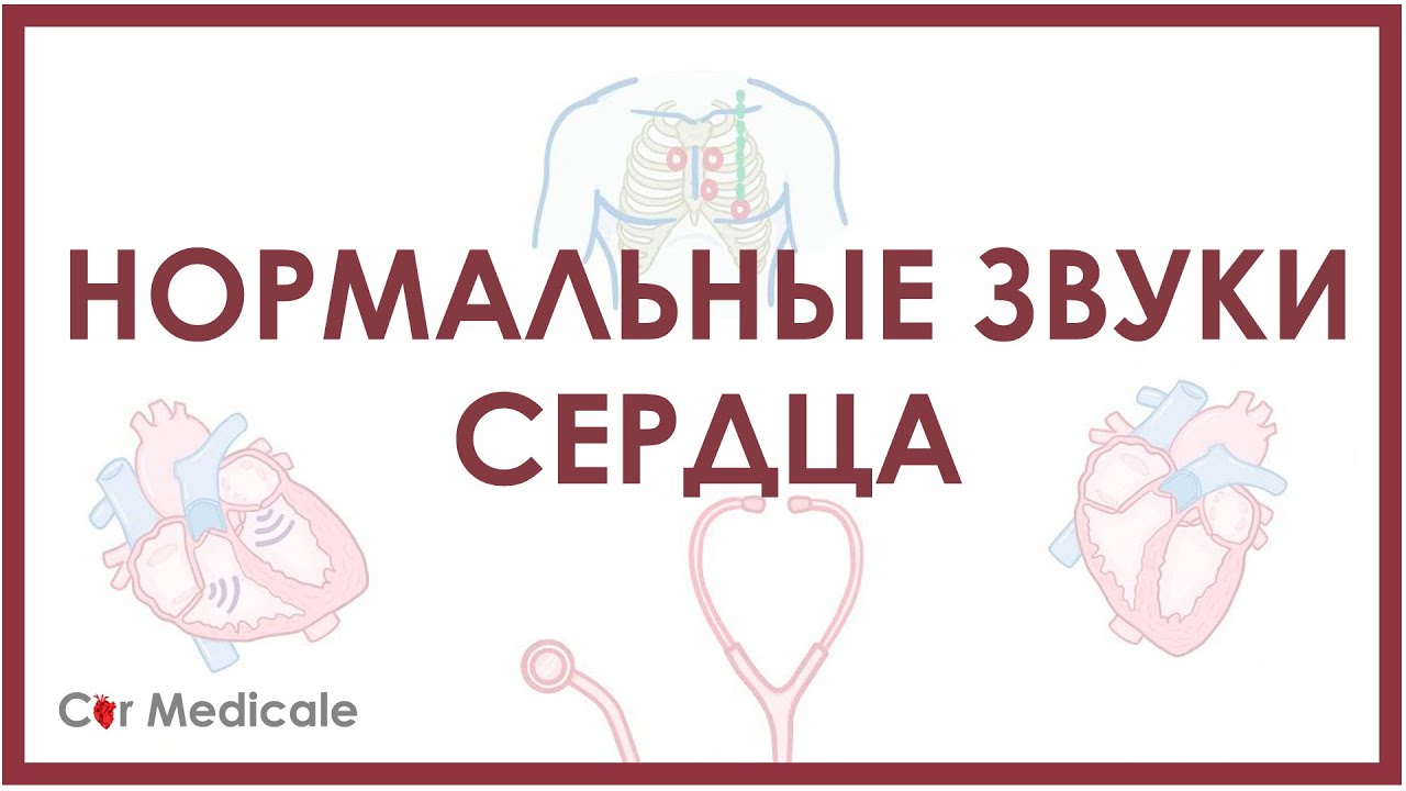 Нормальные звуки сердца, точки аускультации, тоны сердца S1 и S2