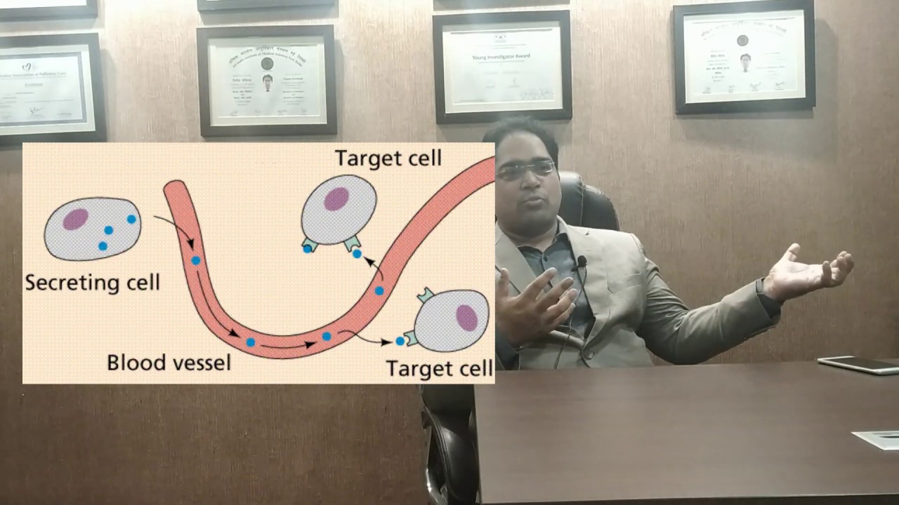 न्यूरो एंडोक्राइन ट्यूमर (एन ई टी) का इलाज - DM (AIIMS) | NET ट्रीटमेंट इन हिंदी 2019