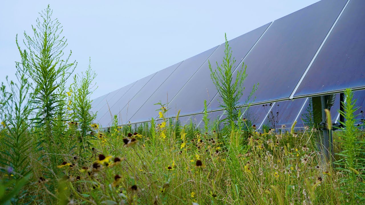 Careers at the Amazon Solar Farm Ohio&ndash;Yellowbud