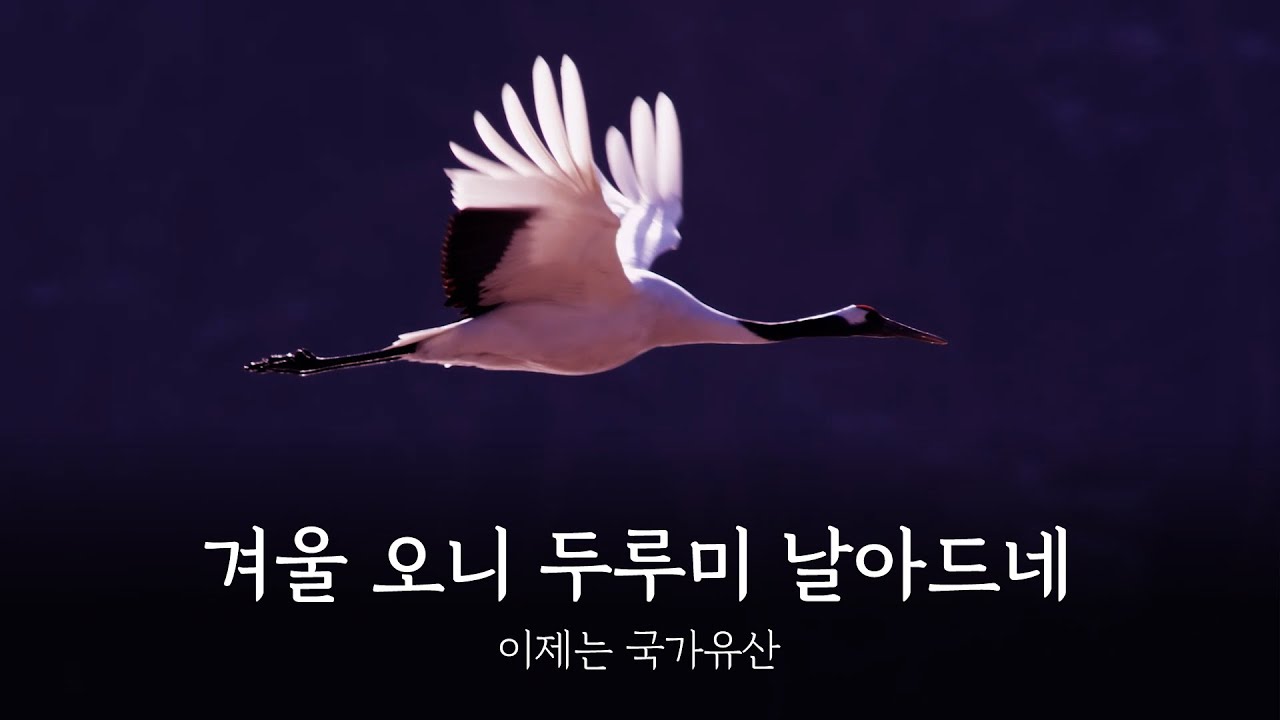 겨울오니 두루미(鶴) 날아드네 [이제는 국가유산]