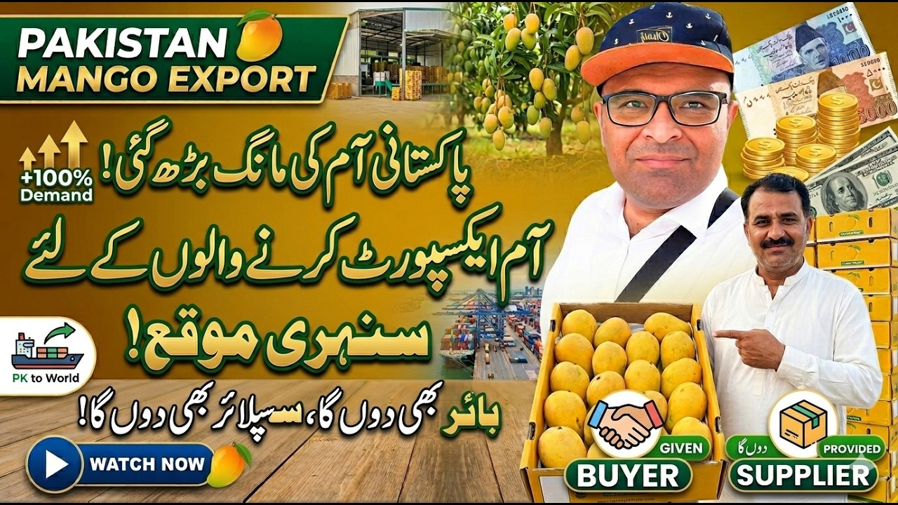 Mango Export Business 2026|How to Export Pakistani Mango to Gulf |Buyer Supplier Info @Aneesvoice