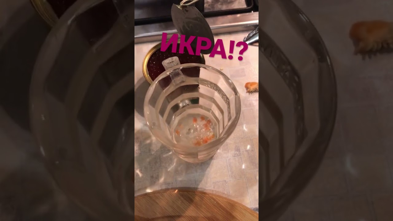 Как проверить икру? #short #shortvideo #redcaviar #икра@MineralAs