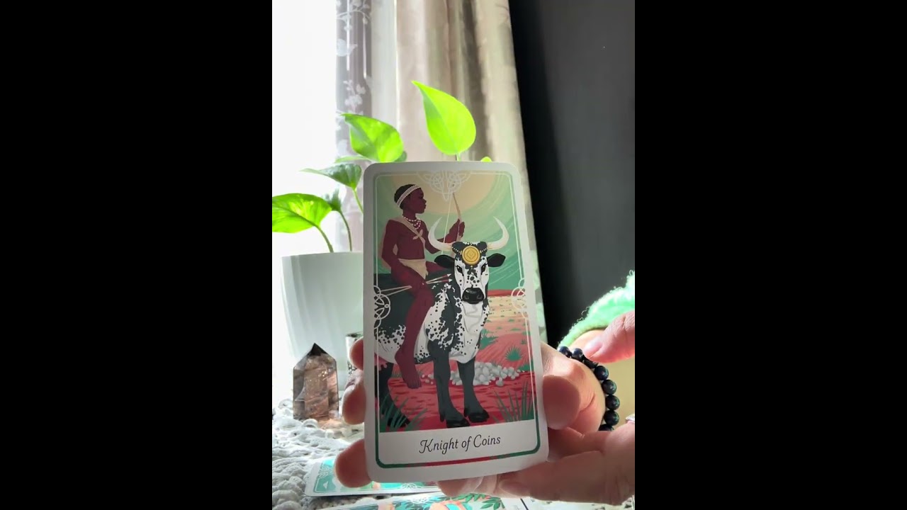 Collective Message- Self love to stability #relationshipreadings #single #tarot 