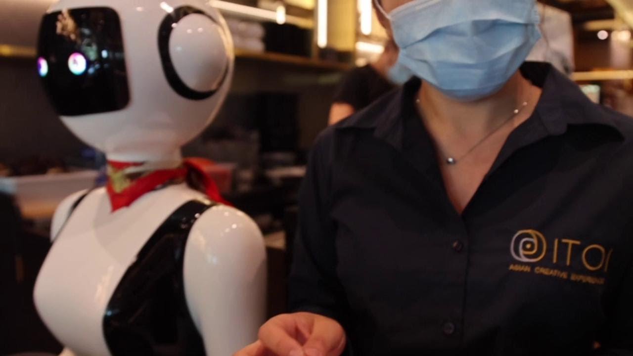 Mortara, il sushi arriva al tavolo con il cameriere robot