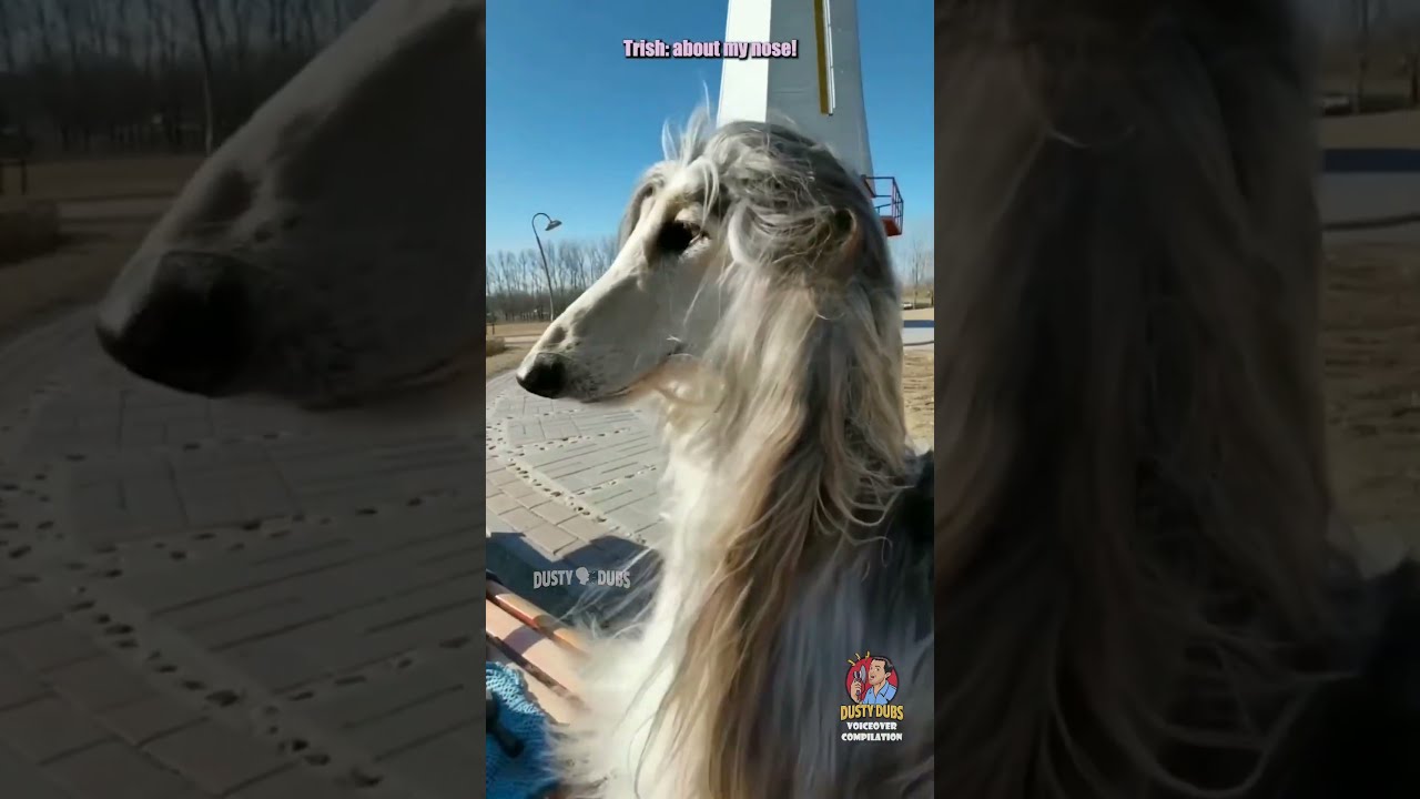 Dusty🗣Dubs Voiceovers CANINE COMPILATION