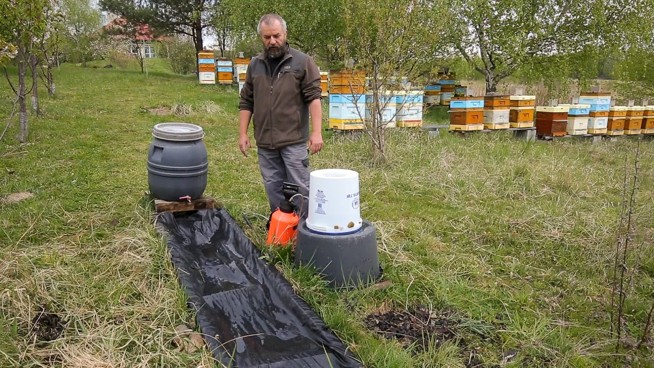Poidła w pasiece