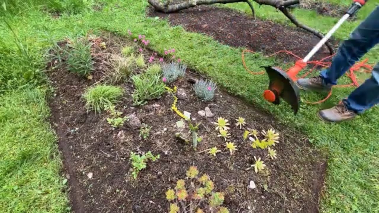 分享小花坛丑陋的原因 - 先给小花坛洗个脸
