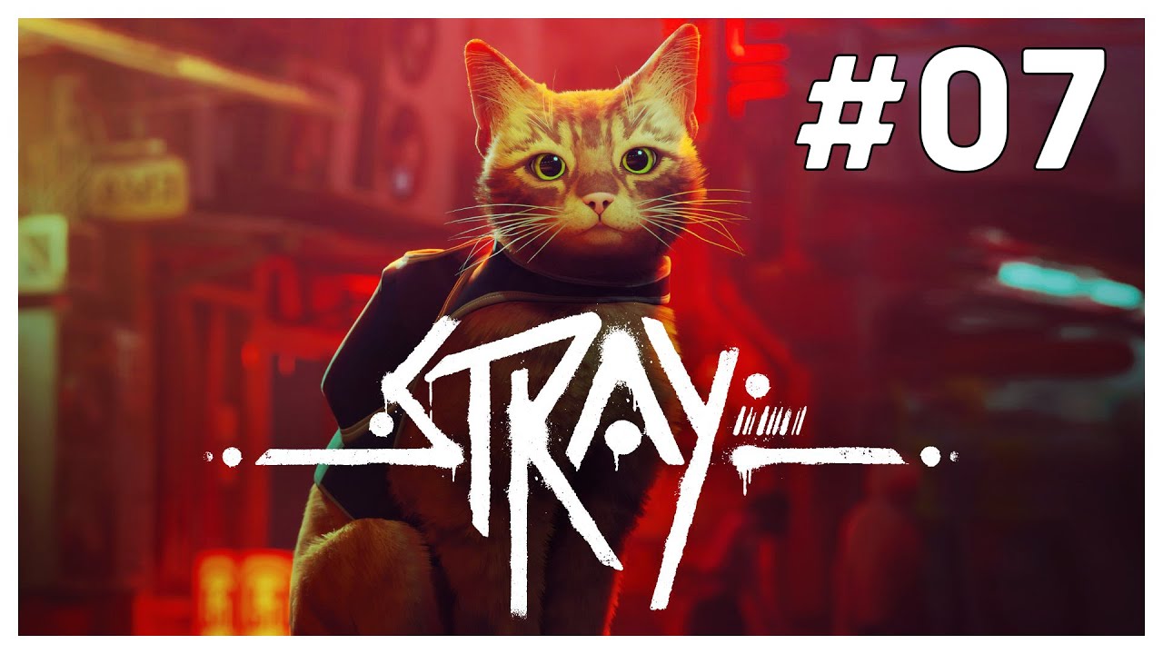 IO & B-12 ESPRORIAMO LA CITTà INFRACITTà  |  Stray - ep.07