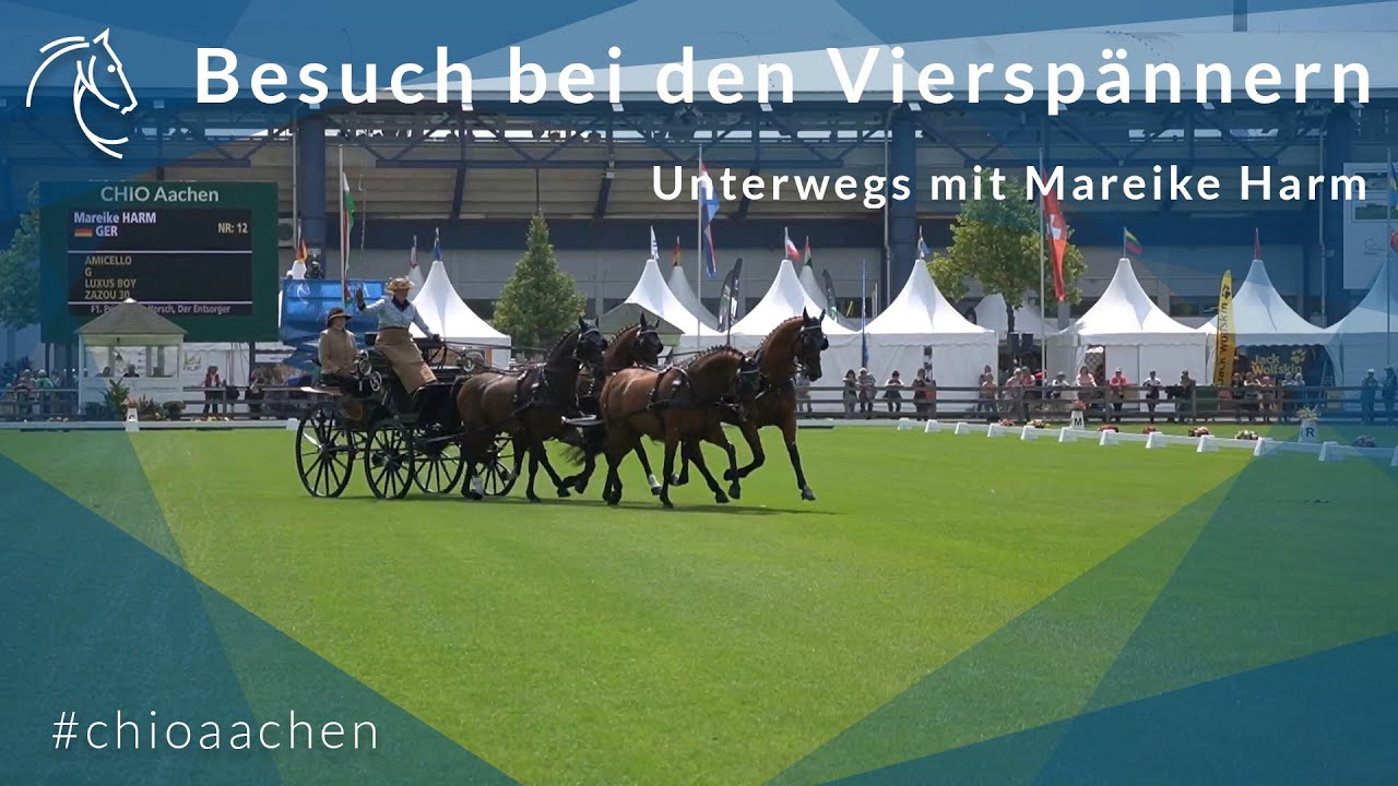 Ein Blick hinter die Kulissen der Vierspänner