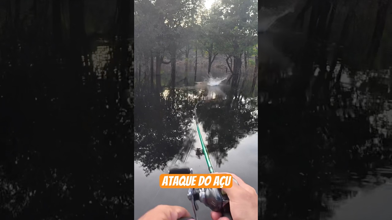 Tucunar&eacute; A&ccedil;u explode na H&eacute;lice Rocket 140 na Amaz&ocirc;nia #fishing #pesca #pescaria