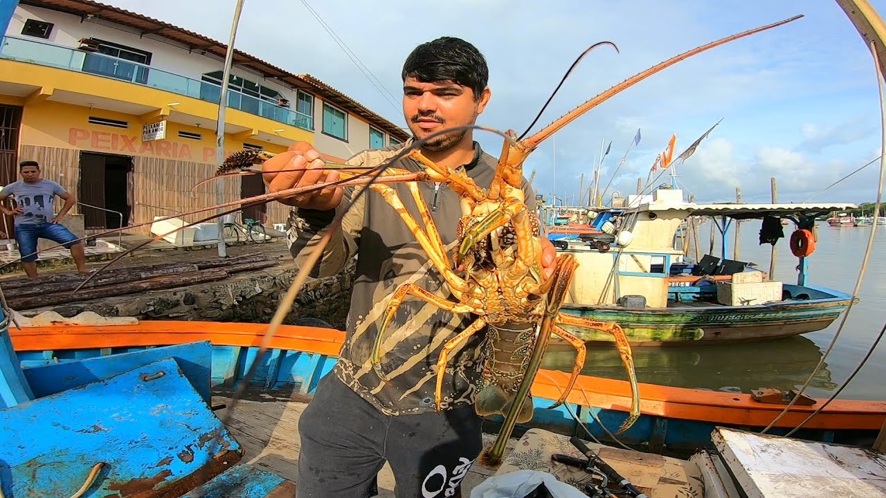 EU NUNCA VI UMA LAGOSTA T&Atilde;O GRANDE ASSIM! veja o que houve com o barco
