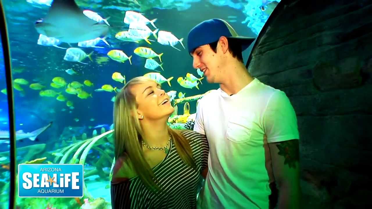 Best Wedding Proposal EVER!!