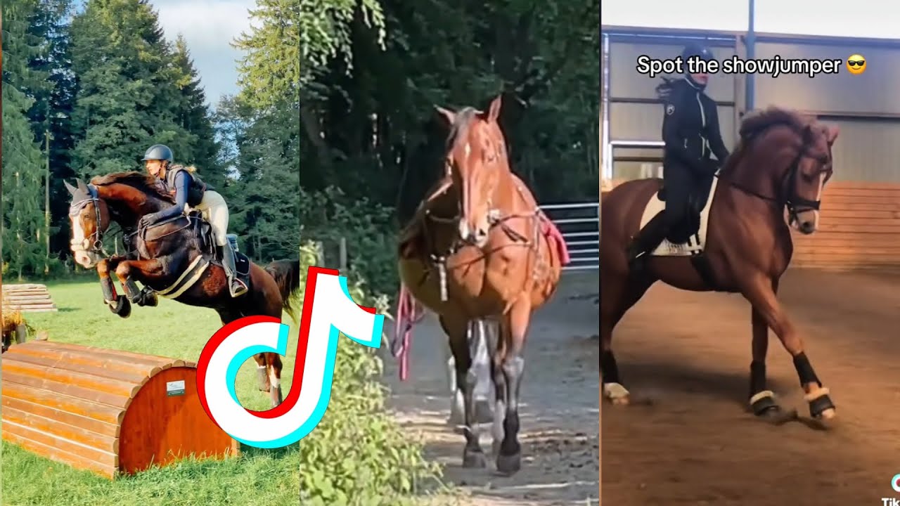The Best HORSE 🐎 TikTok Compilation #111