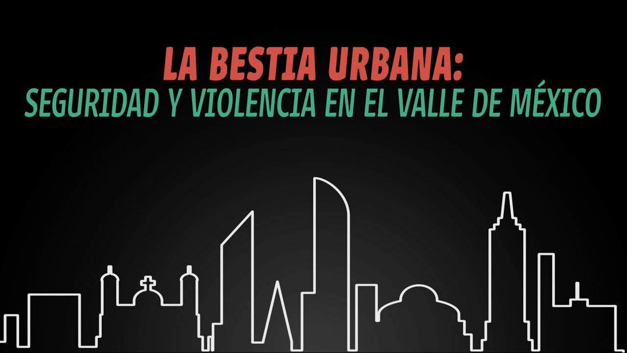 Prevenci&oacute;n de la violencia y la delincuencia en la metr&oacute;poli