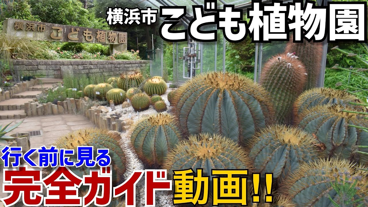 【南区】大人も絶対楽しい！横浜市こども植物園を歩こう！