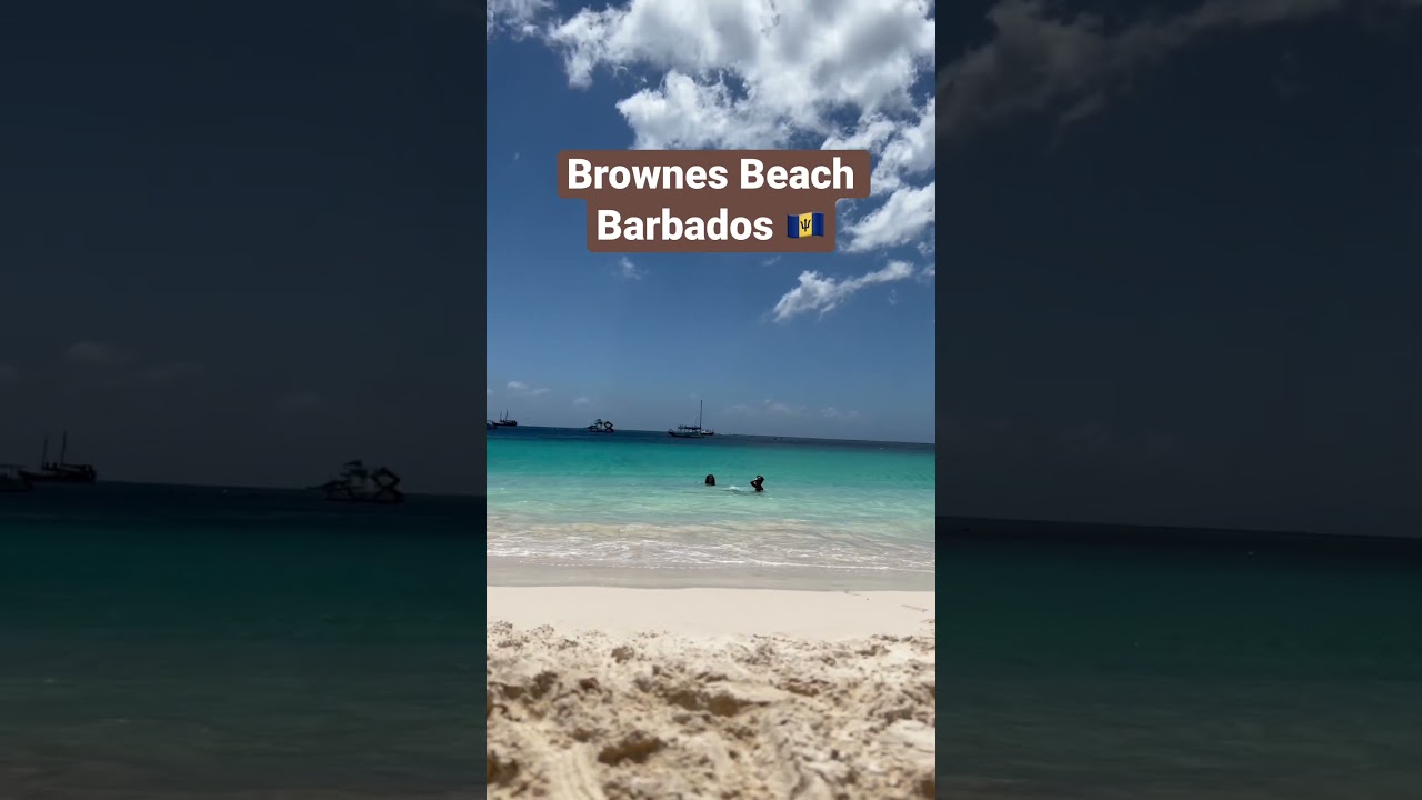 Brownes Beach, Barbados #travel #caribbean #beach #barbados #whitesand #wanderlust #subscribe #short