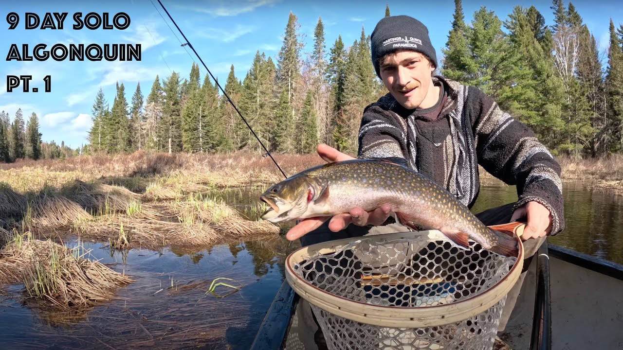 9 Day Solo - Wild Spring Trout Fishing Trip - Algonquin Park - Part 1: Native Brook Trout