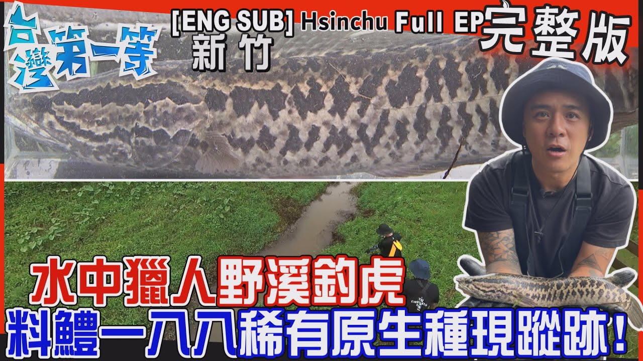 [全新] 新竹【水中獵人野溪