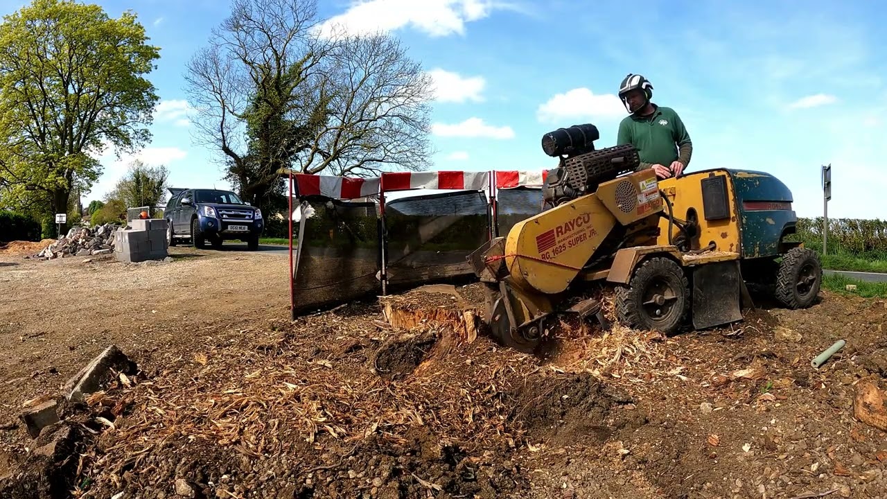 MJC Tree cares Rayco 1625 super  jr