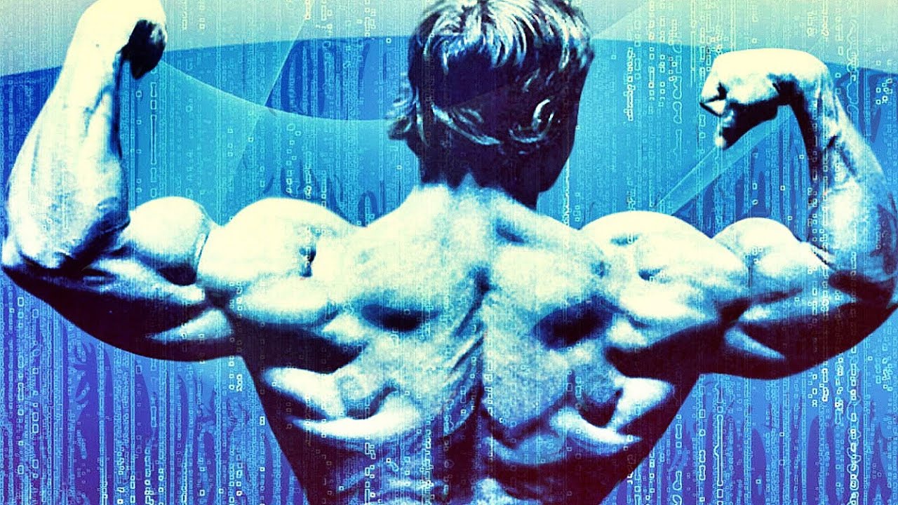 THE ART OF BODYBUILDING