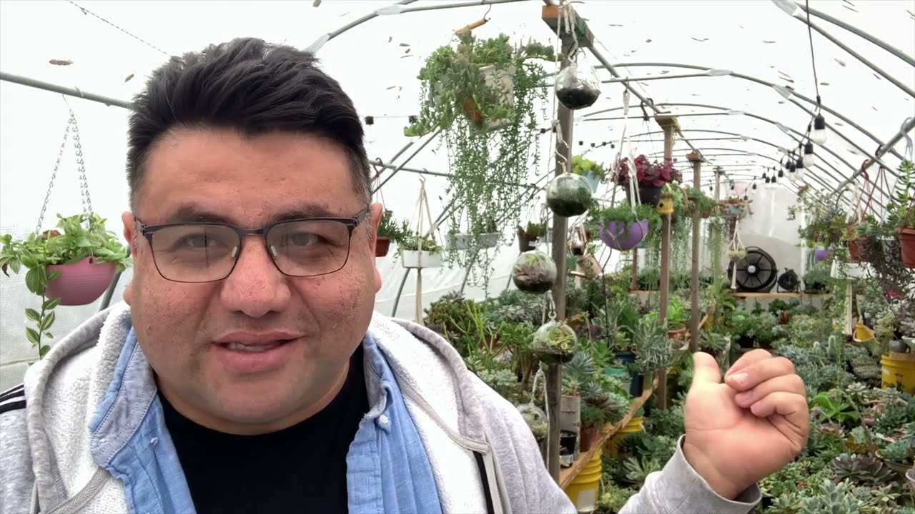 Mejor luz de cultivo para suculentas
