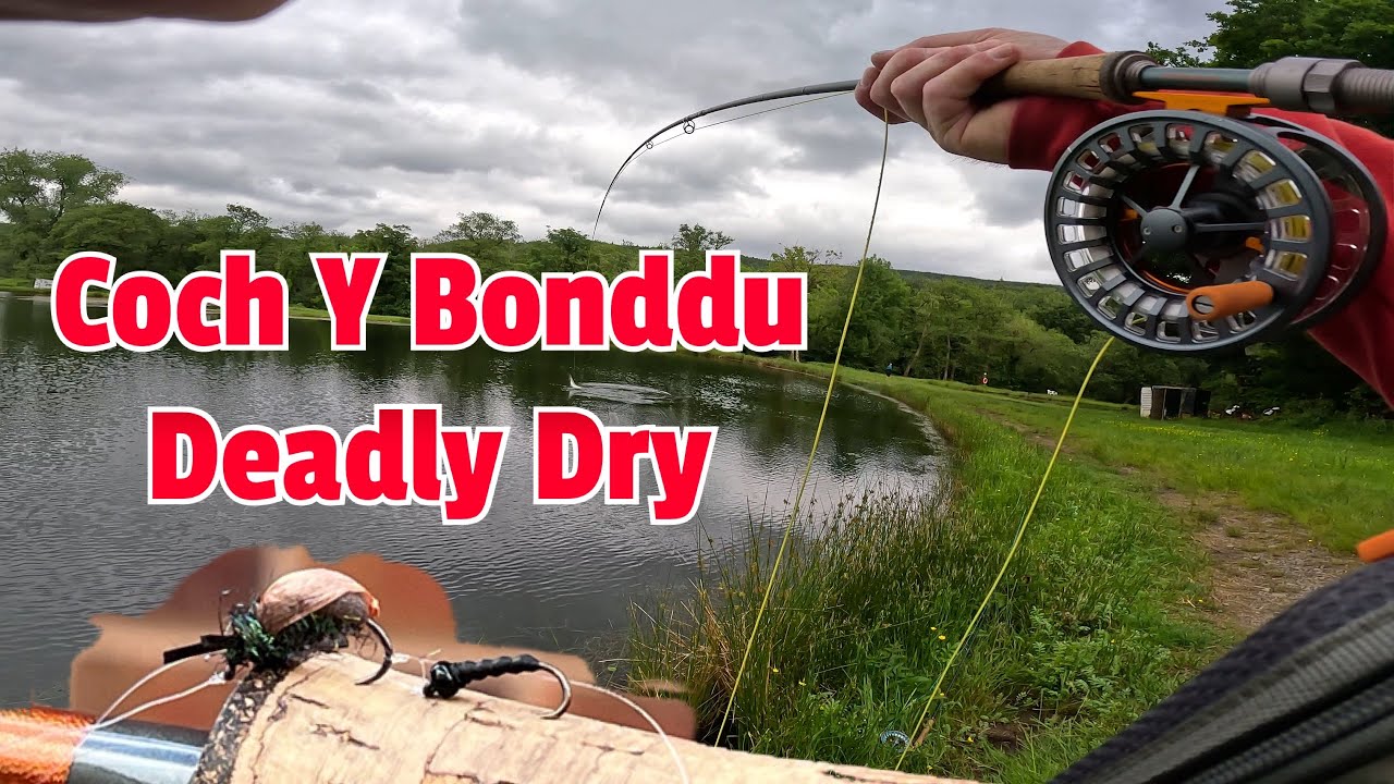 Junes DEADLY Dry Fly ~ The Mighty &lsquo;Coch Y Bonddu&rsquo;