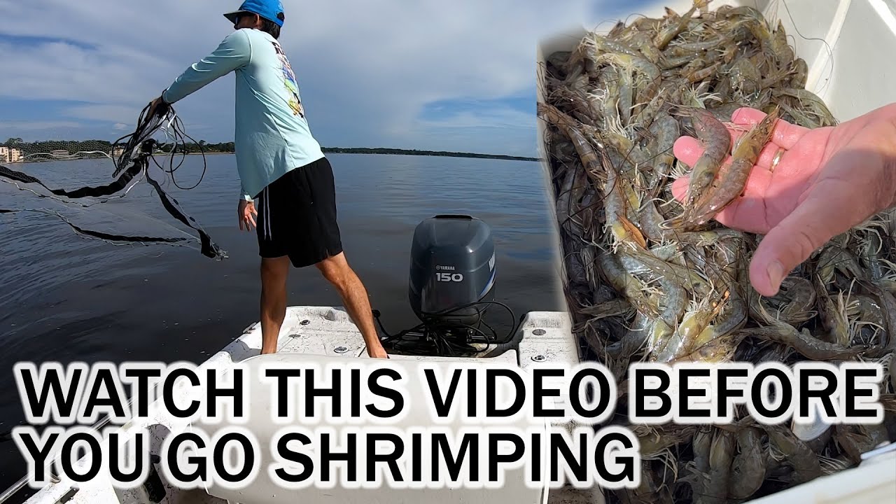 Watch this Video Before You Go Shrimping | Tips & How to Catch Shrimp | Where to Find Shrimp