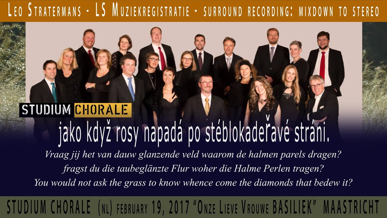 Napadly písně v duši mou - Antonín Dvořák,  Studium Chorale