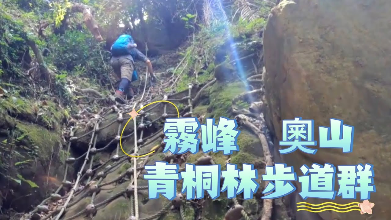 阿吉去爬山｜霧峰青桐林生態園區步道群｜桐林花廊步道上奧山｜奧山到三叉坪溪谷路線要小心辨認  下雨勿行｜北坑溪步道  樟樹林步道輕鬆易行｜兼具挑戰與休閒的路線