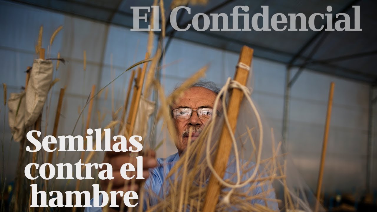 La soluci&oacute;n al hambre en Oriente Medio est&aacute; en manos de este cient&iacute;fico sirio