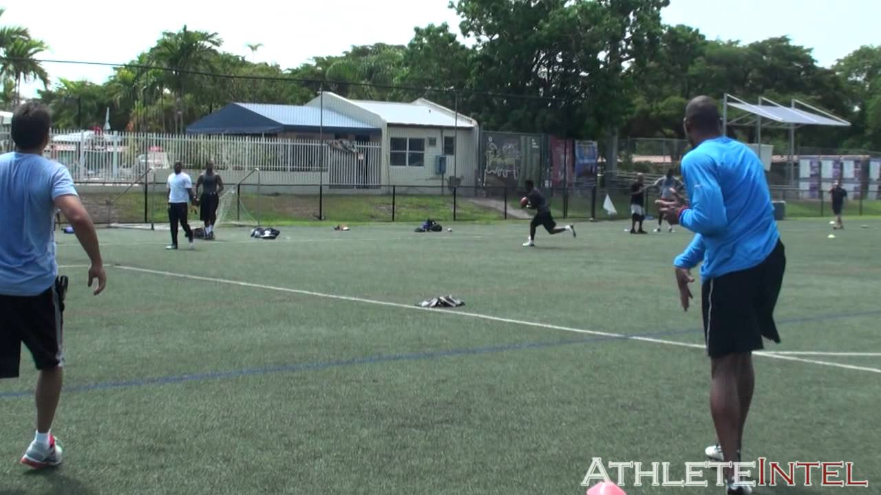 Terrelle Pryor Pre-Draft Workout with Chad Ochocinco and Antonio Brown