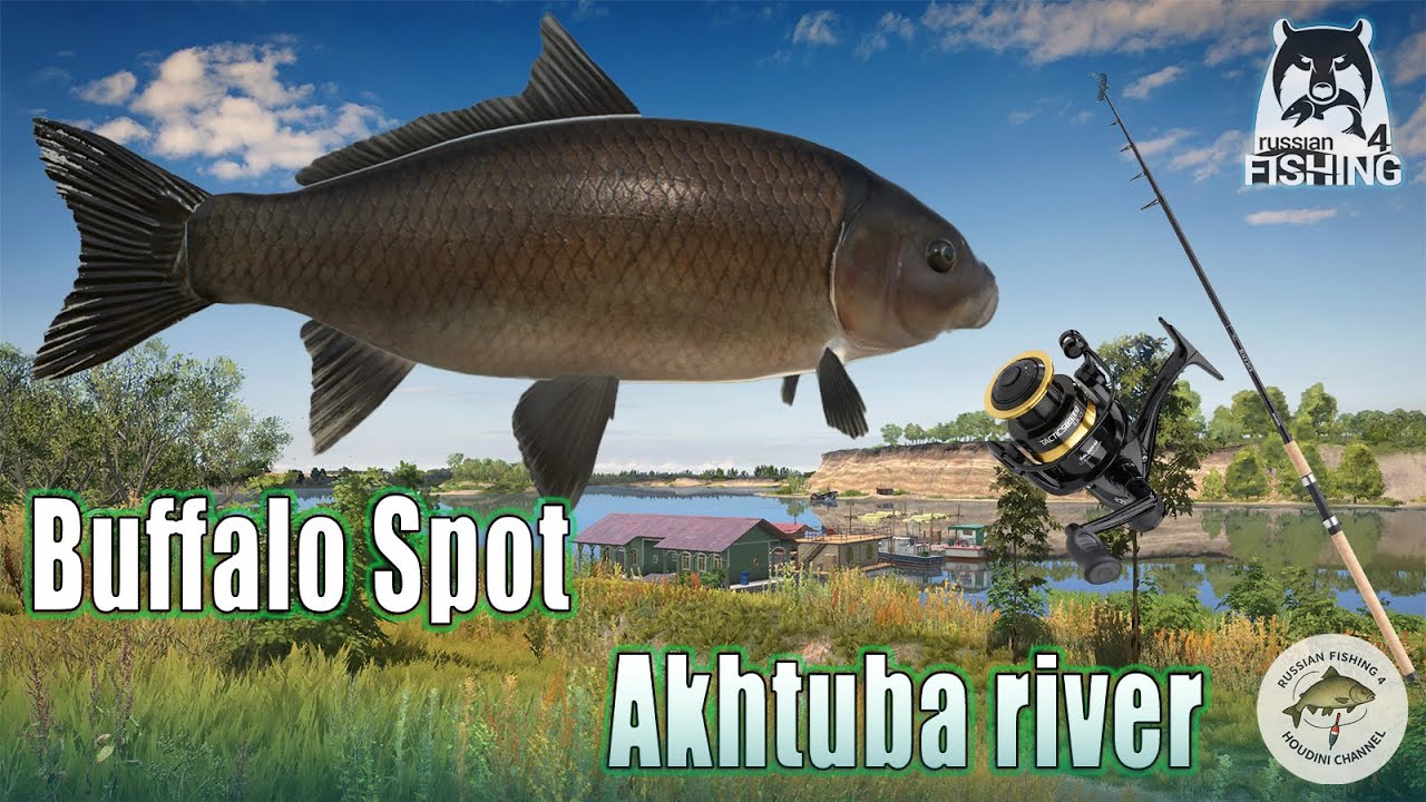 🎣 Ultimate Carp Setup for Black Buffalo on Akhtuba River | Russian Fishing 4 Guide