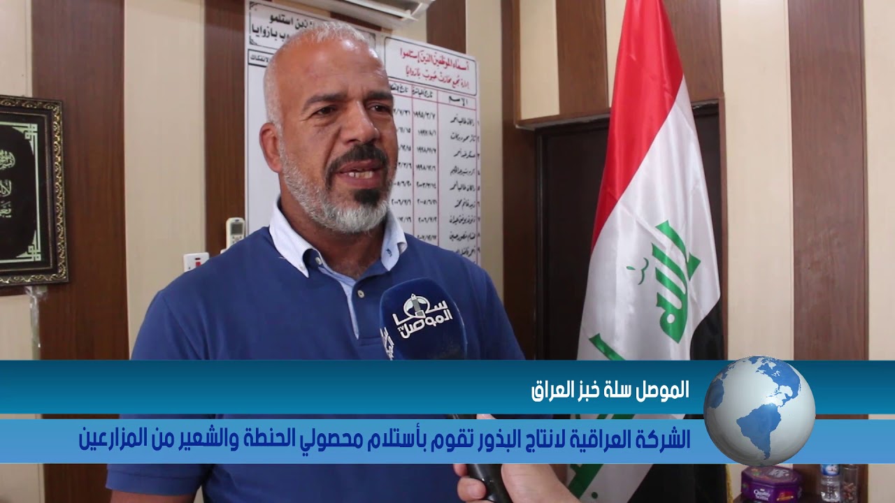 الشركة العراقية لانتاج البذور تقوم بأستلام محصولي الحنطة والشعير من المزارعين